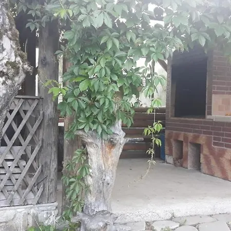 Pensiunea Casa Domnitei Sucevita