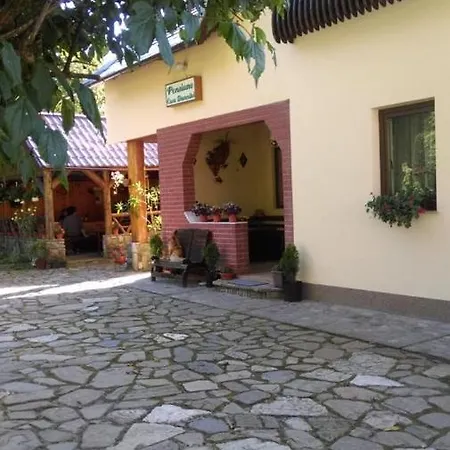 Pensiunea Casa Domnitei *