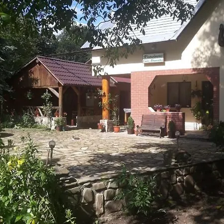 Guest house Pensiunea Casa Domnitei