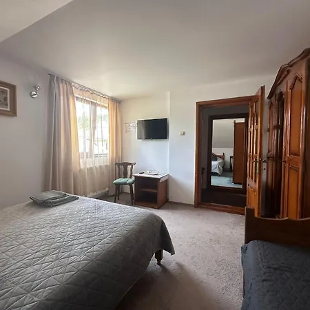 Pensiunea Casa Domnitei Guest house Sucevita