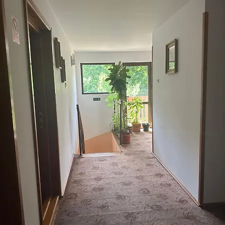 Pensiunea Casa Domnitei Guest house